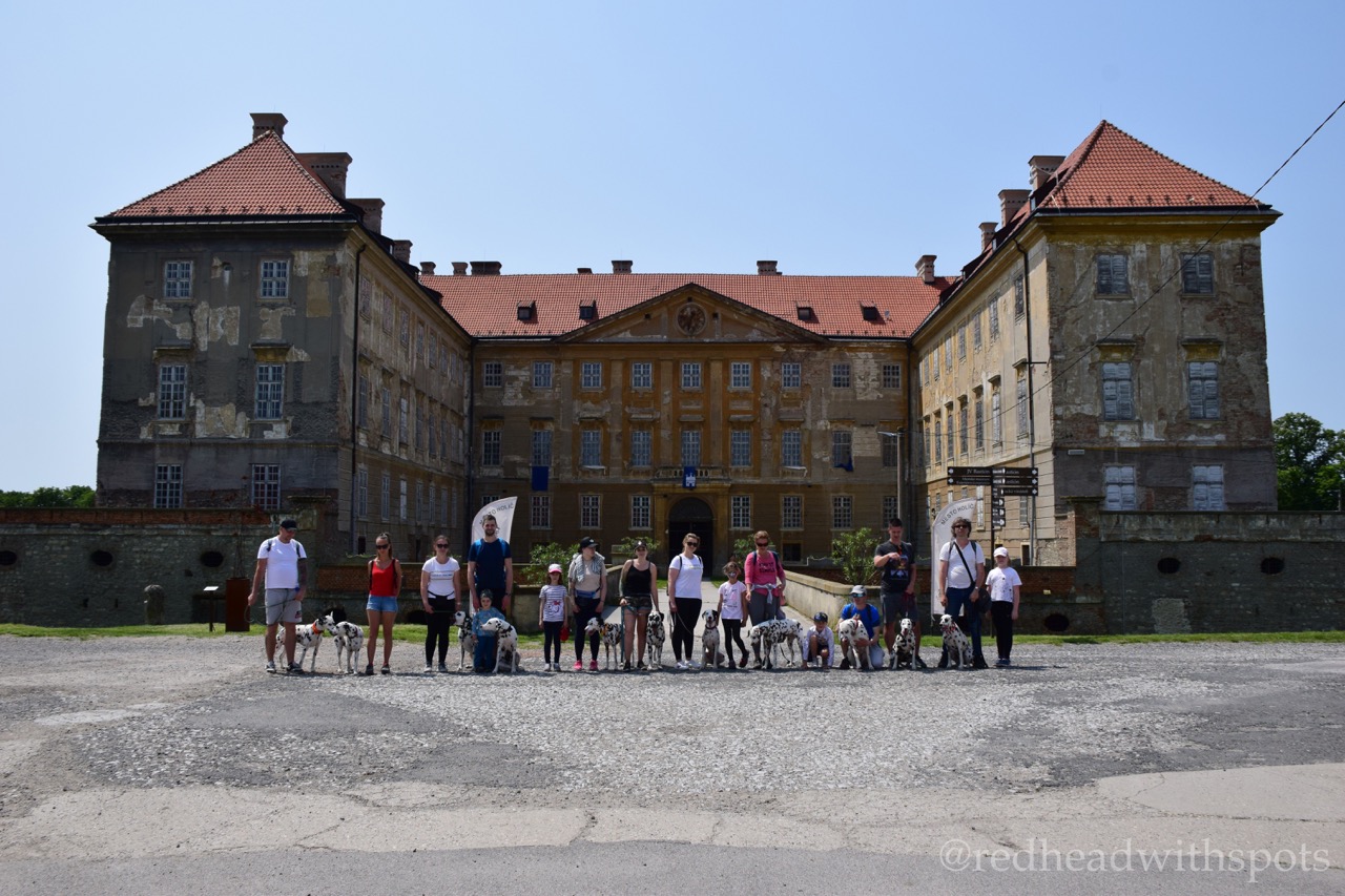 Psia škola