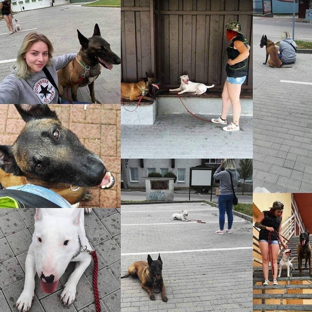 trainings-13