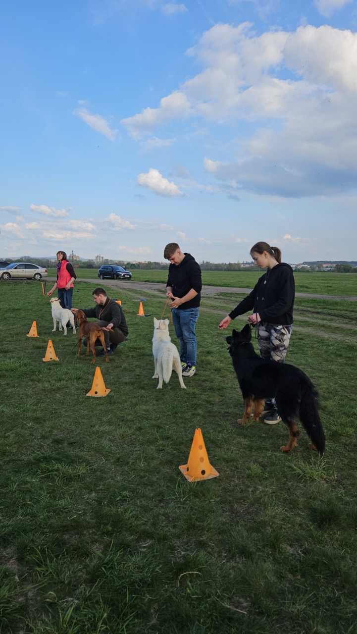 trainings-15