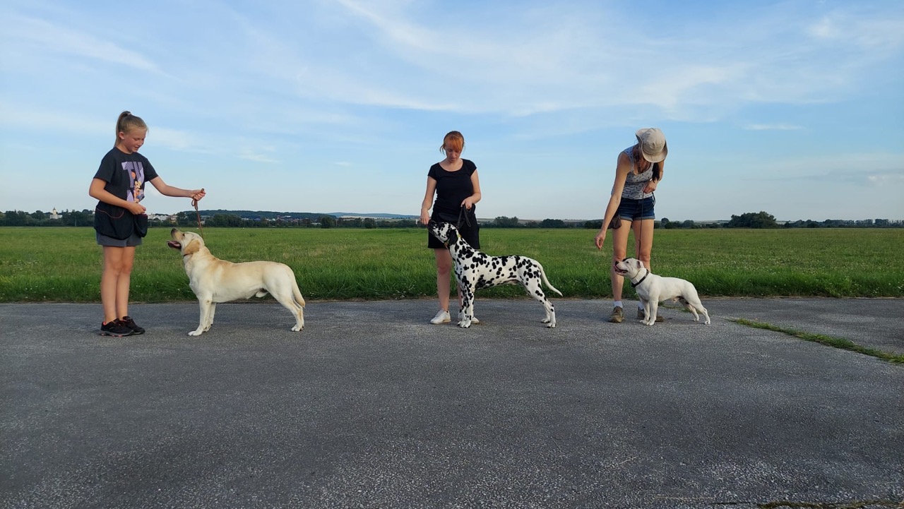trainings-33