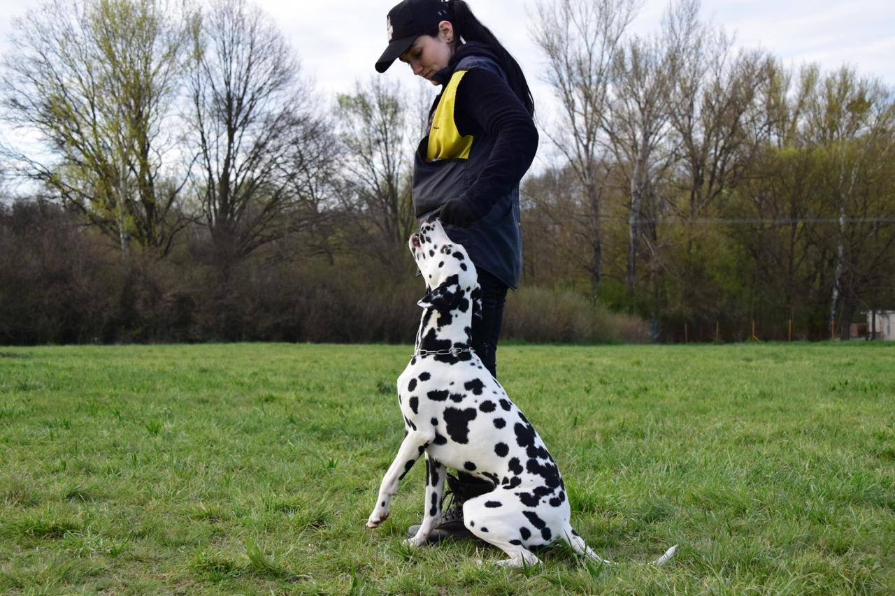 trainings-6