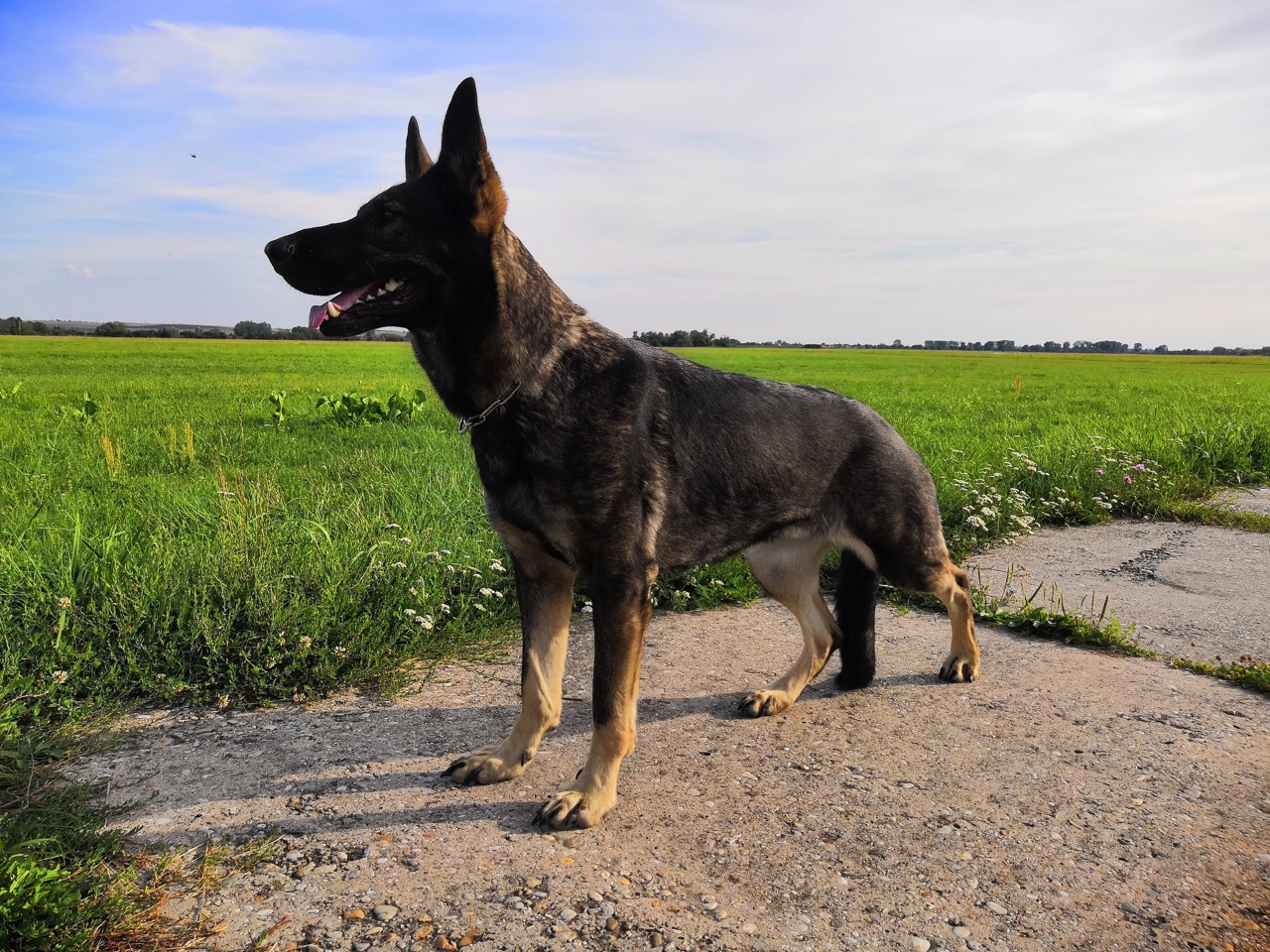 02-linda-ziva-2