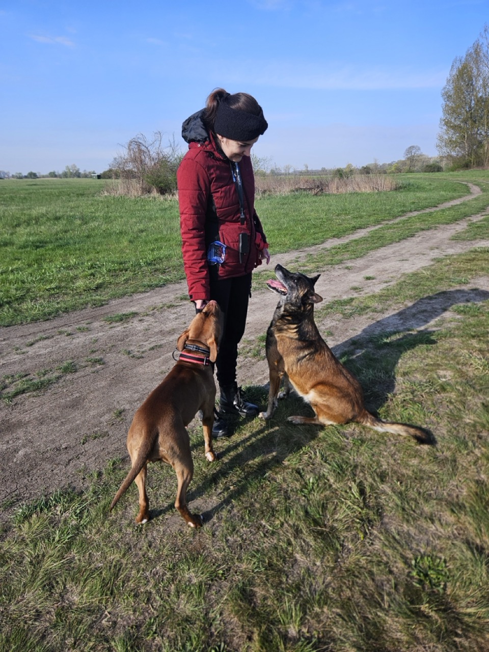 silvia-daisy-1