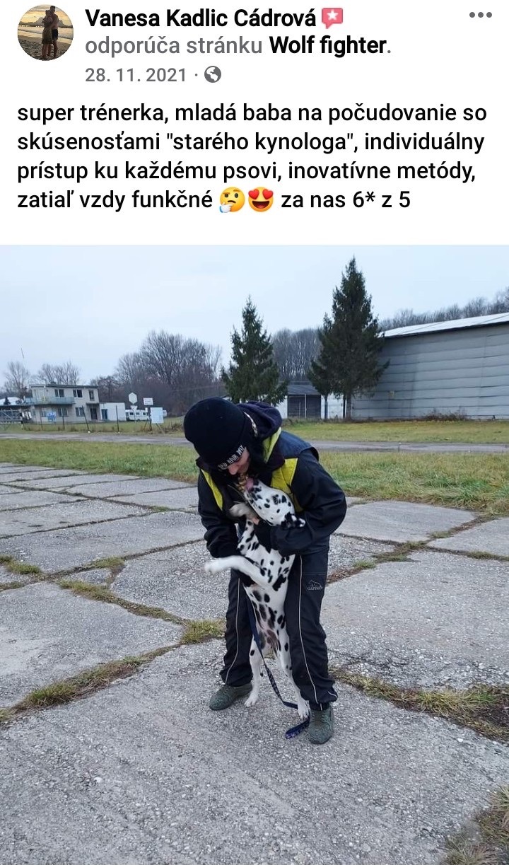 recenzia 7